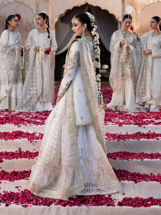 Sj 26170, made by MAIRAZ — full-length angled back view showing shirt and dupatta embroidery