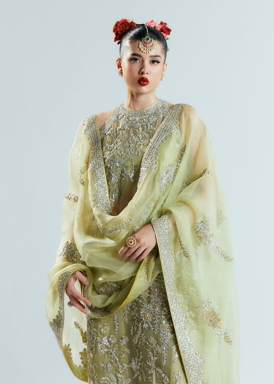 Hussain Rehar Mintara Style — Mairaz Nude Sharara
