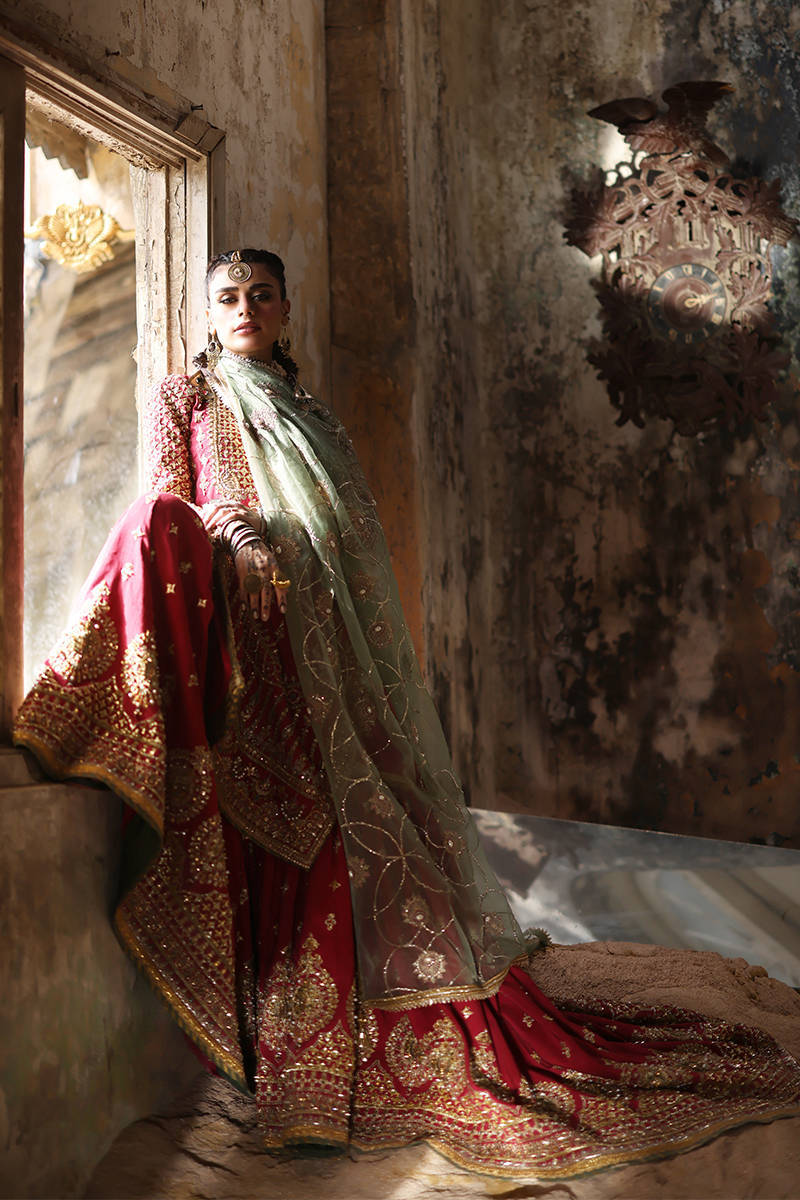 Mohsin Naveed Ranjha Ruhi Begum Style — Mairaz Carrot Red Gharara