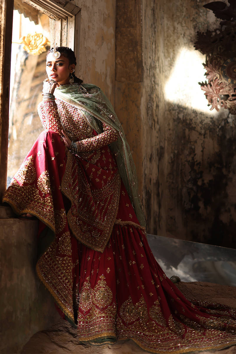 Mohsin Naveed Ranjha Ruhi Begum Style — Mairaz Carrot Red Gharara