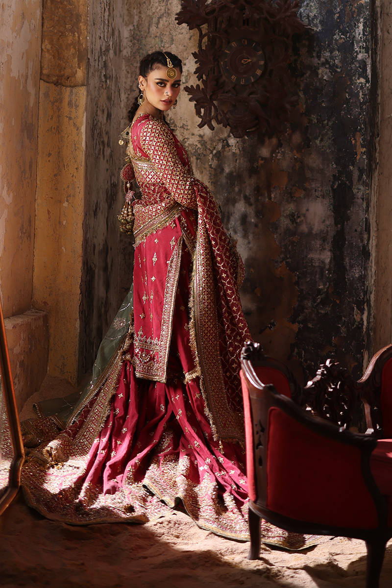 Mohsin Naveed Ranjha Ruhi Begum Style — Mairaz Carrot Red Gharara