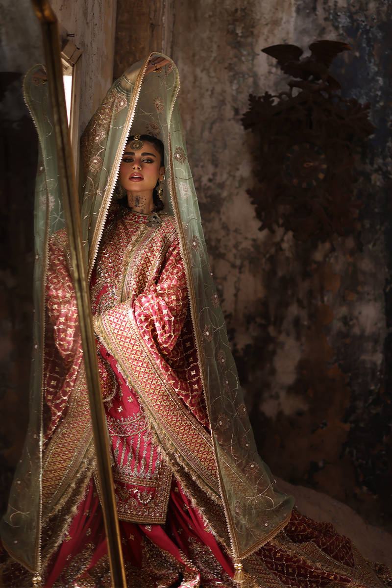 Mohsin Naveed Ranjha Ruhi Begum Style — Mairaz Carrot Red Gharara