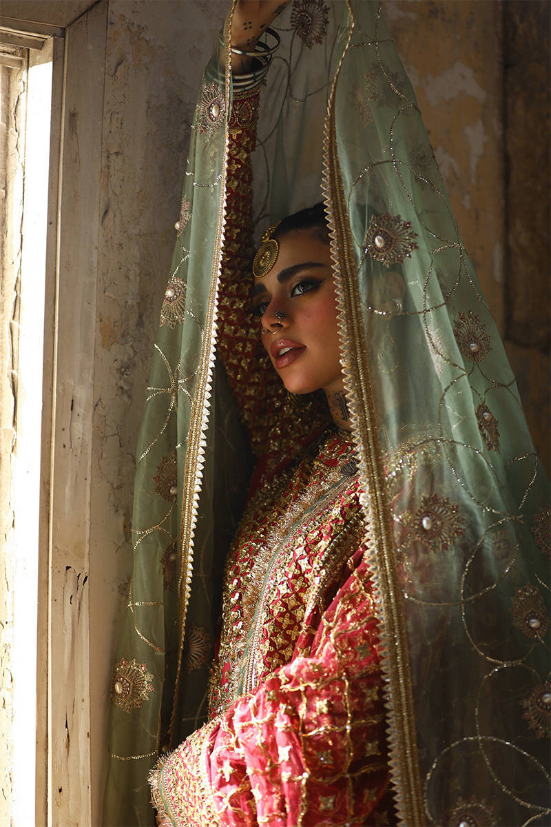 Mohsin Naveed Ranjha Ruhi Begum Style — Mairaz Carrot Red Gharara