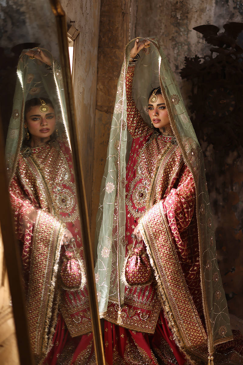 Mohsin Naveed Ranjha Ruhi Begum Style — Mairaz Carrot Red Gharara