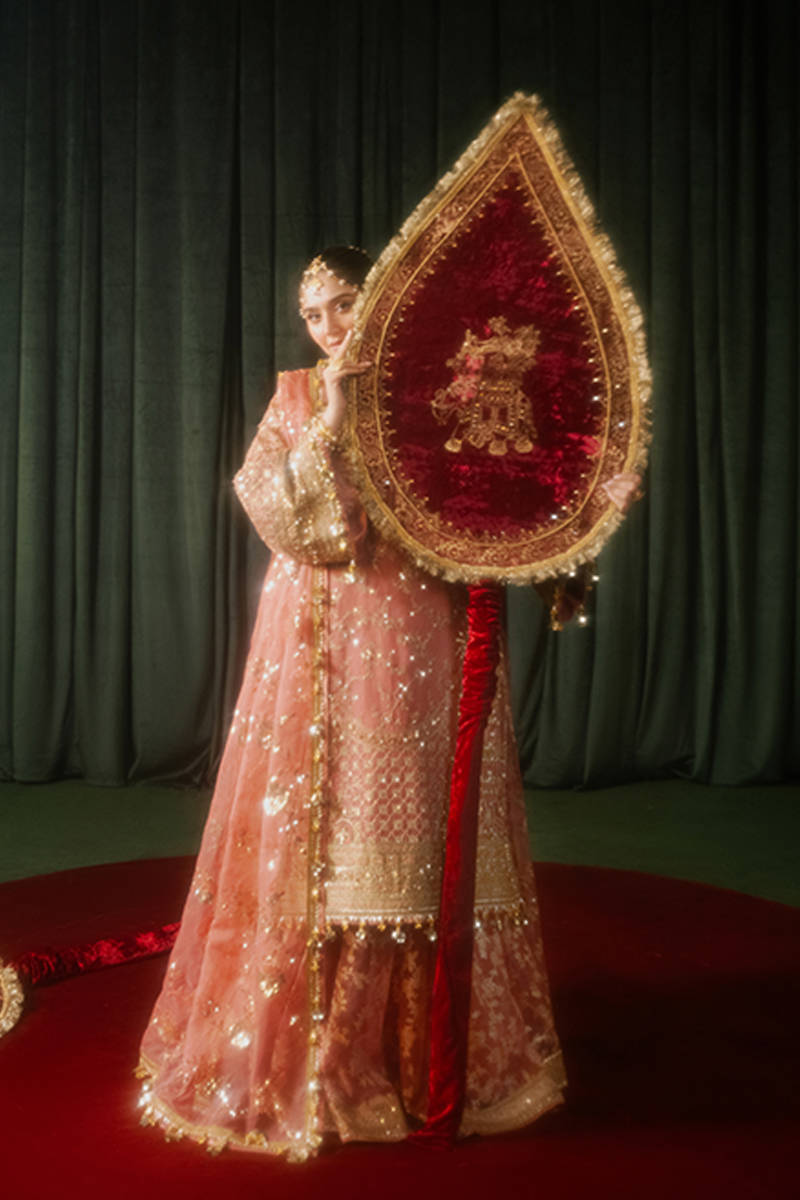 Guriya Rani Style embroidered pink organza outfit by MAIRAZ