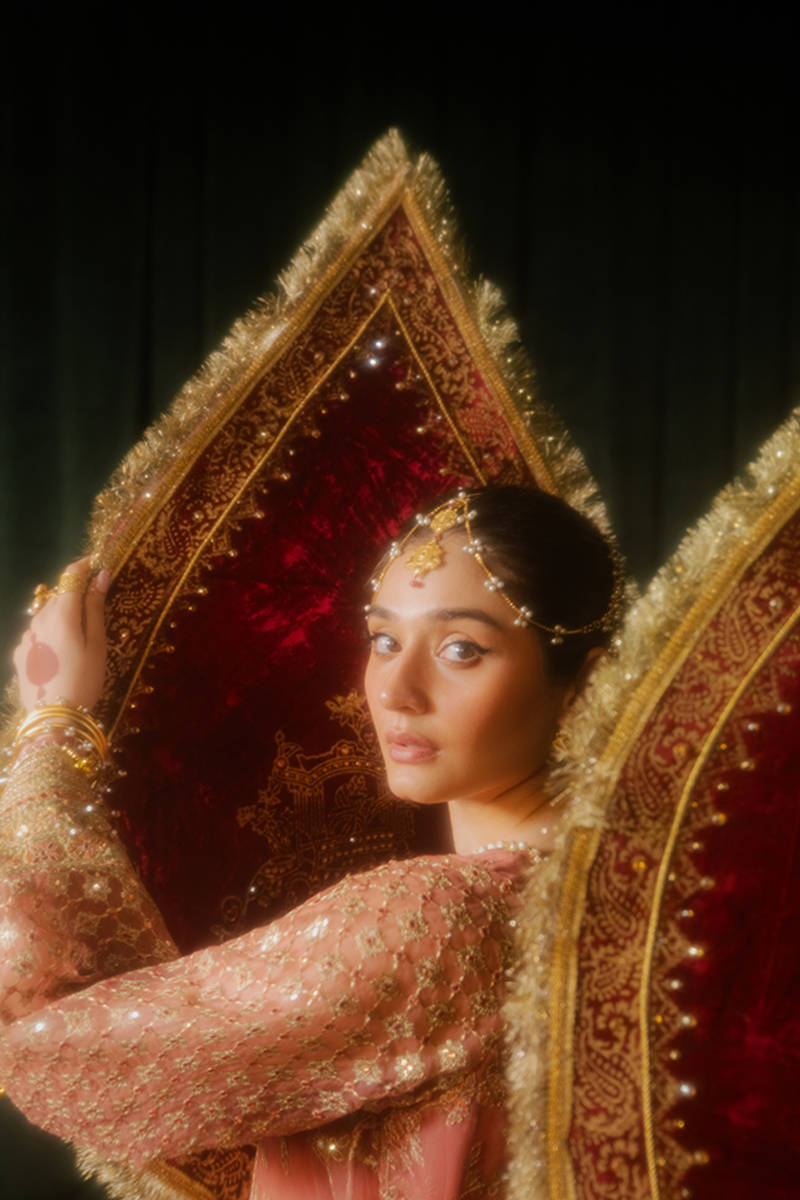 Guriya Rani Style embellished organza formal detail by MAIRAZ