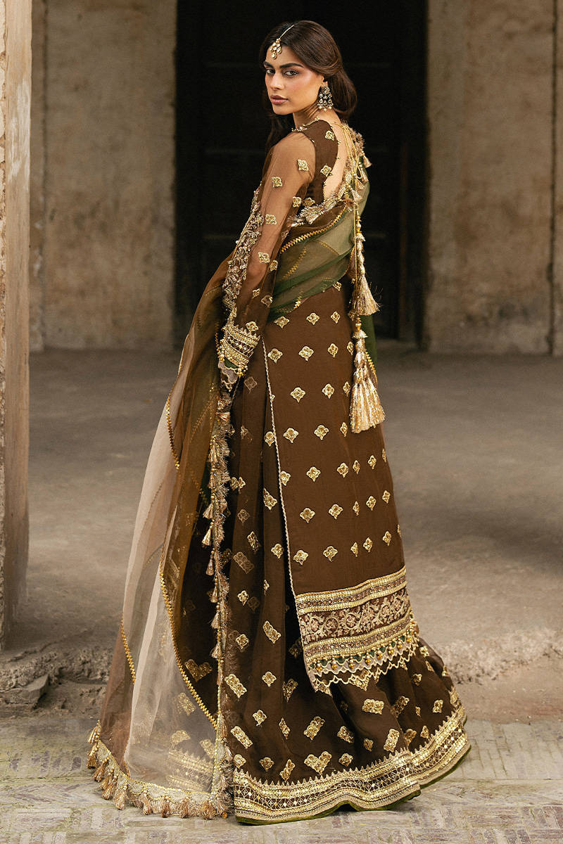 MNR Tabeer Style — Mairaz Brown Sharara