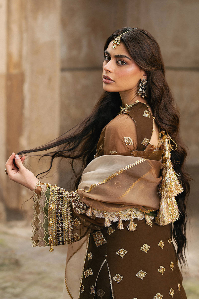 MNR Tabeer Style — Mairaz Brown Sharara