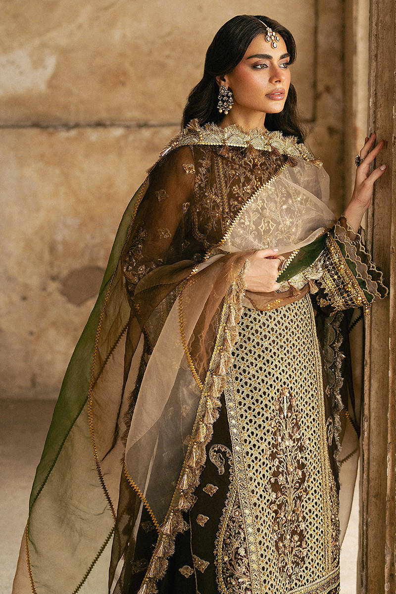 MNR Tabeer Style — Mairaz Brown Sharara