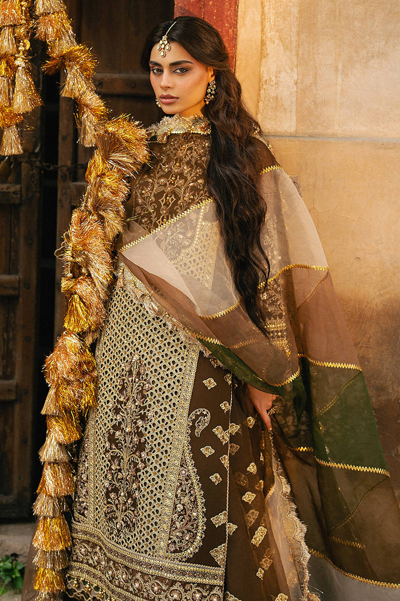 MNR Tabeer Style — Mairaz Brown Sharara
