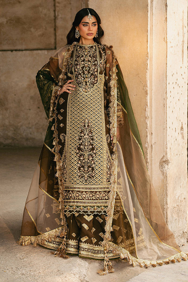 MNR Tabeer Style — Mairaz Brown Sharara