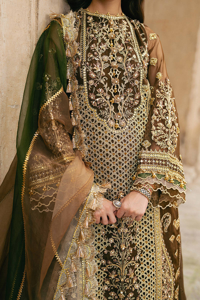 MNR Tabeer Style — Mairaz Brown Sharara