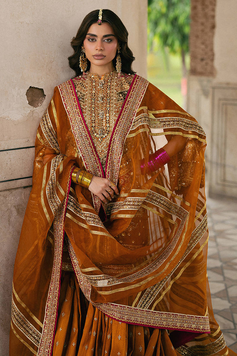 Mohsin Naveed Ranjha Ranjish style — Mairaz marigold gharara set reference, view 7 of 8