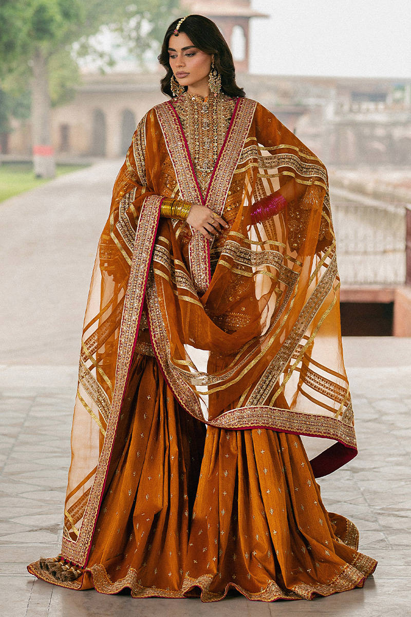 Mohsin Naveed Ranjha Ranjish style — Mairaz marigold gharara set reference, view 3 of 8