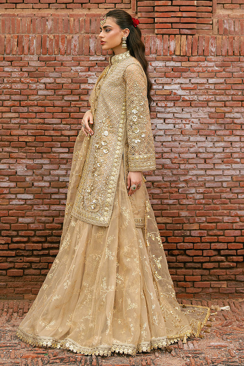 MNR Roshni Style — Mairaz Skin-Toned Gharara