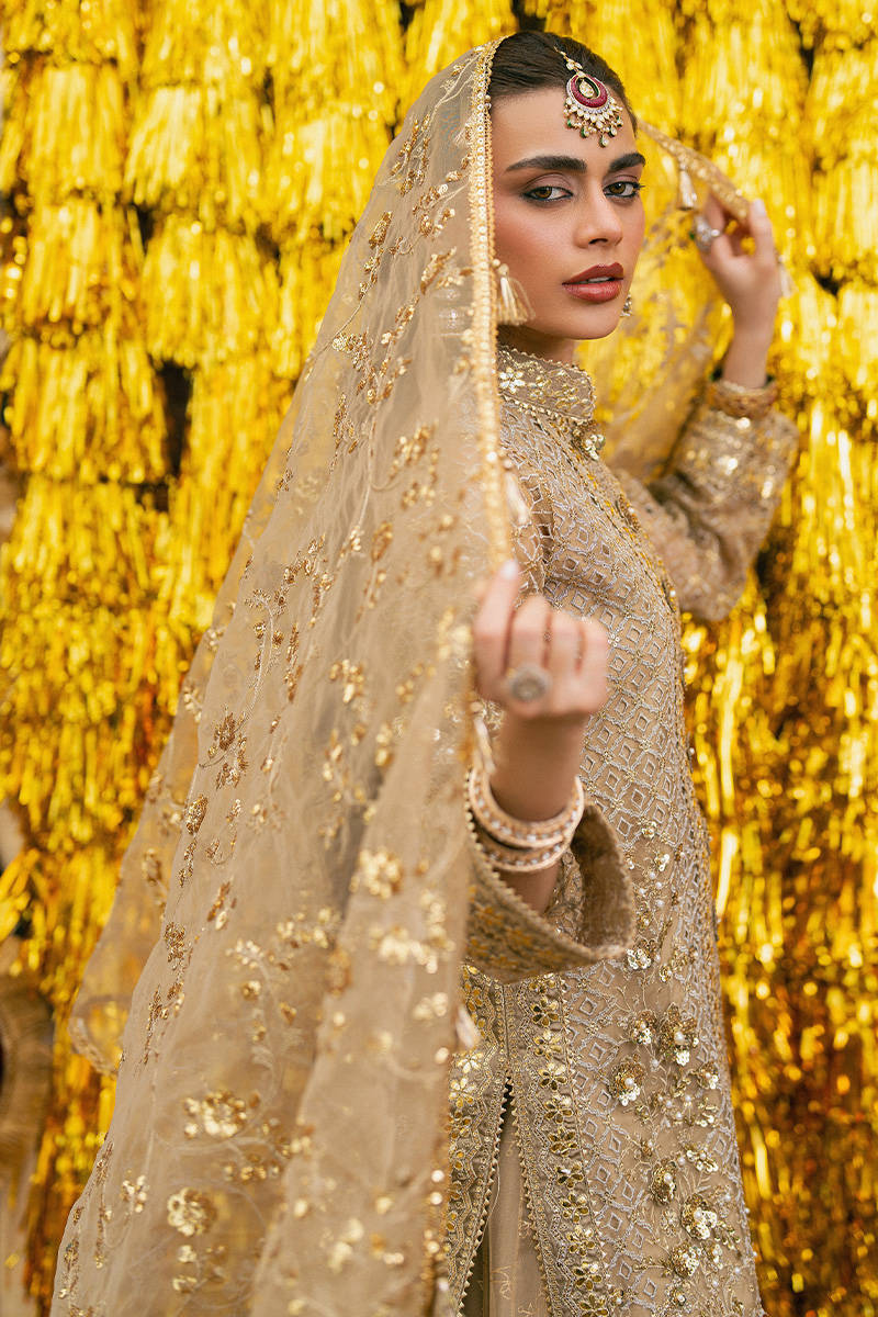 MNR Roshni Style — Mairaz Skin-Toned Gharara