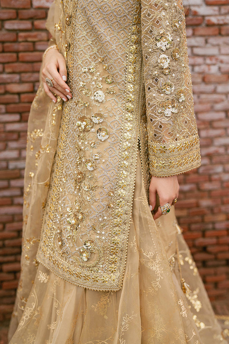 MNR Roshni Style — Mairaz Skin-Toned Gharara