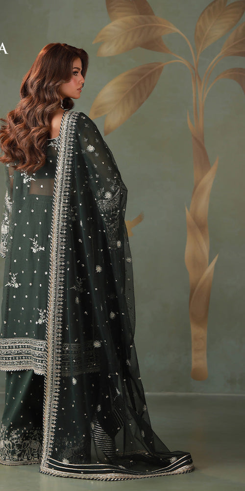 Mairaz - AJULD-11 clean image 3