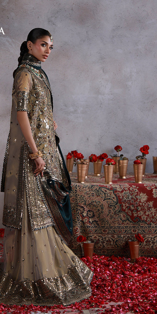 Mairaz - AJULN-19 clean image 4