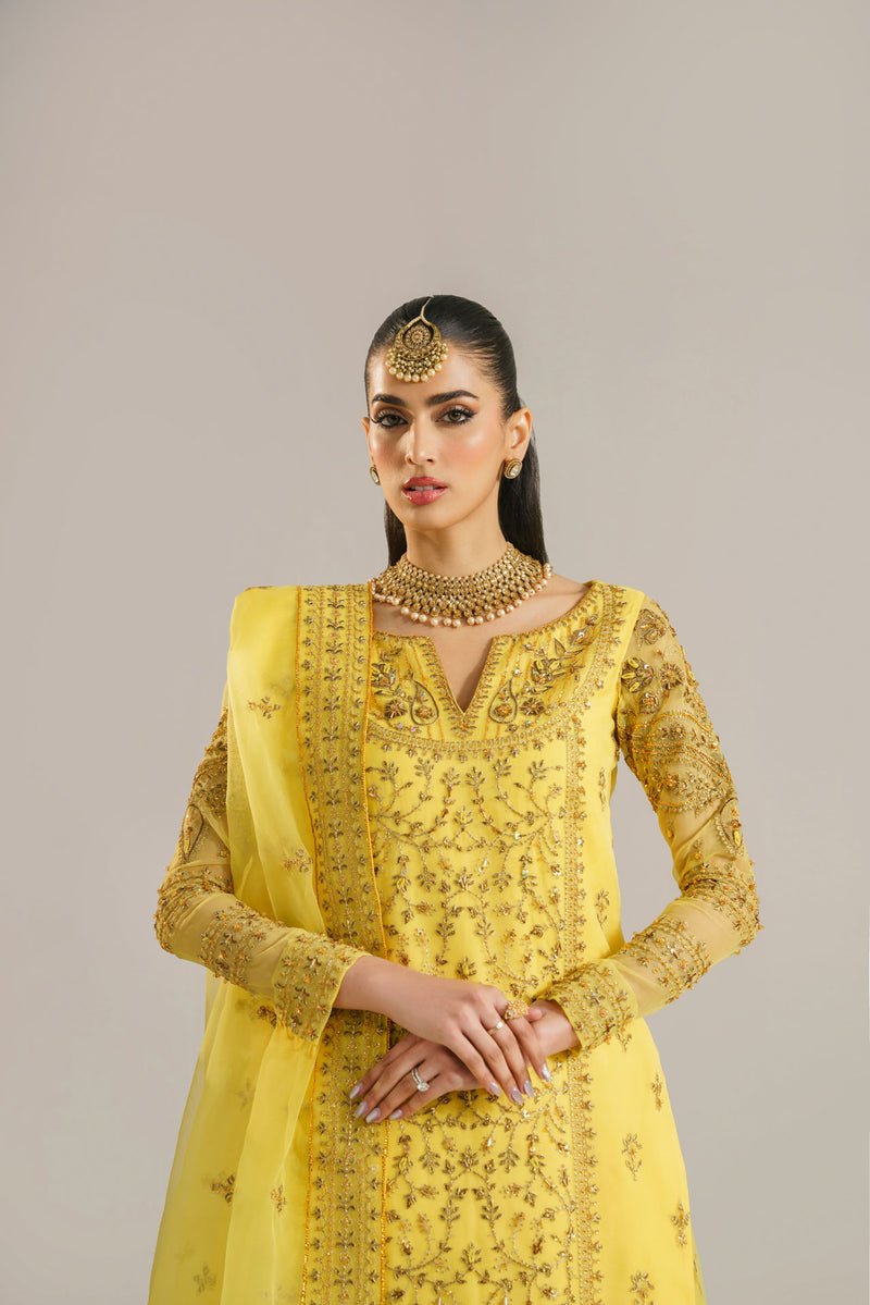 Akbar Aslam Hareem U-1520 Style — Mairaz Lehenga