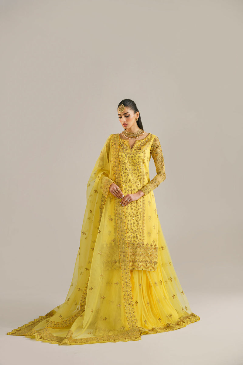 Akbar Aslam Hareem U-1520 Style — Mairaz Lehenga