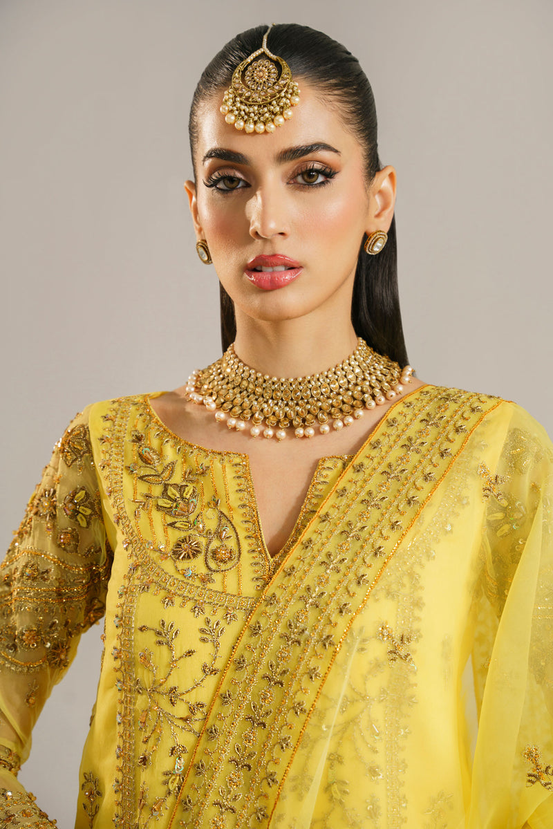 Akbar Aslam Hareem U-1520 Style — Mairaz Lehenga