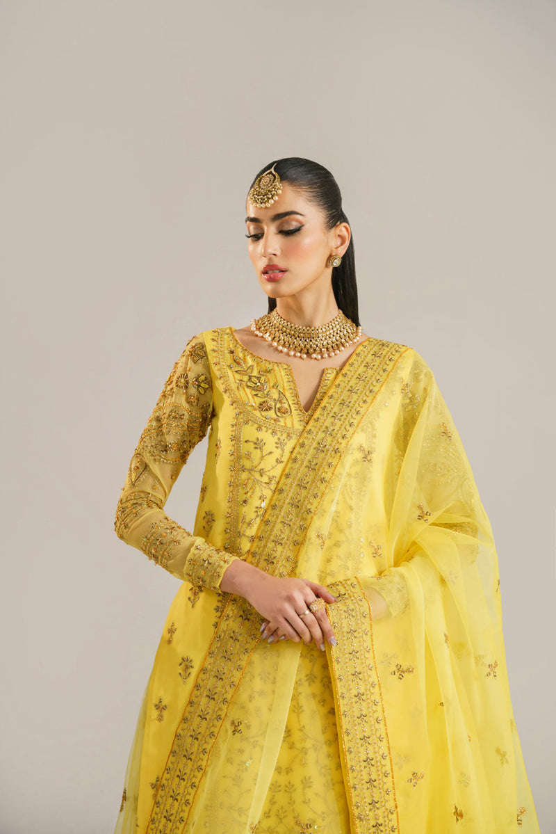 Akbar Aslam Hareem U-1520 Style — Mairaz Lehenga