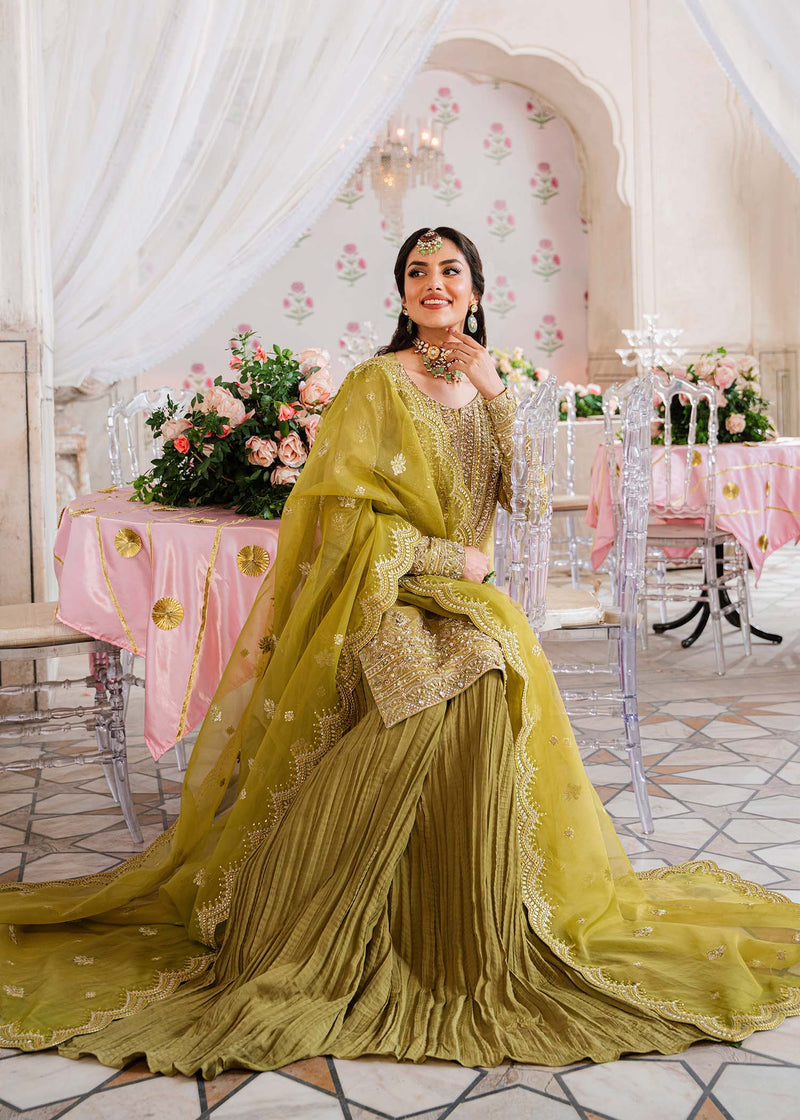 Akbar Aslam Meharzad U-1506 Style — Mairaz Sharara