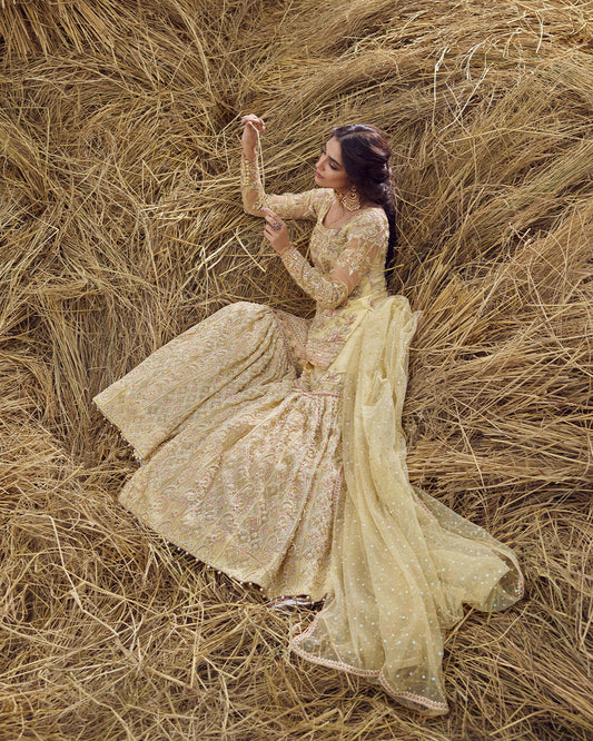 Faiza Saqlain Famya Style — Mairaz Gharara