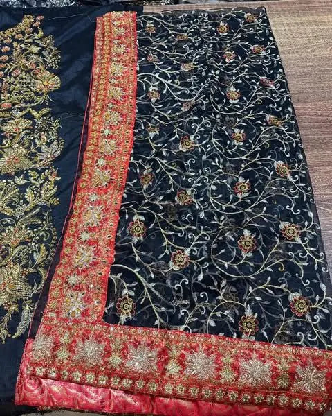 Haris Shakeel – Shayna Style, shirt panel and red border embroidery detail