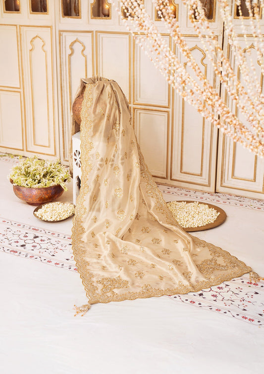 Aik Atelier Style — Mairaz Light Gold Shawl