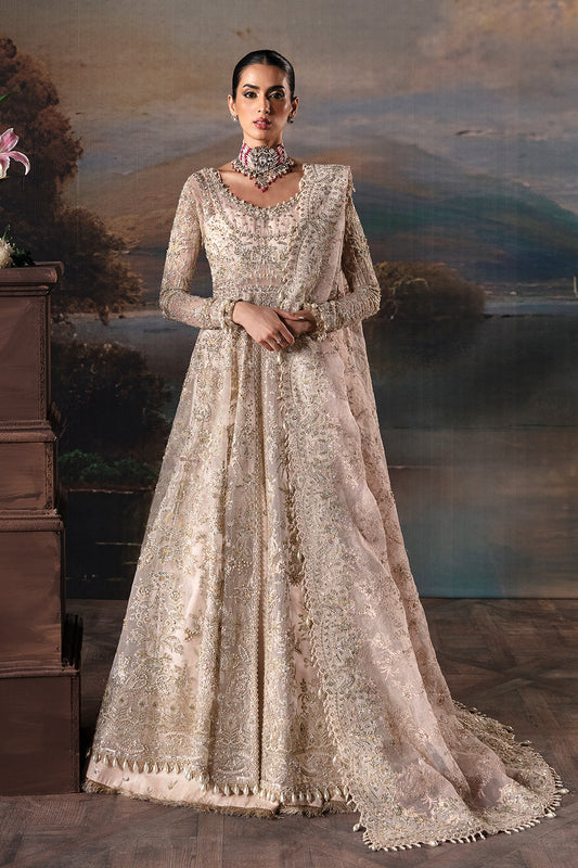 Afrozeh Clara Style — Mairaz Pink Wedding Maxi