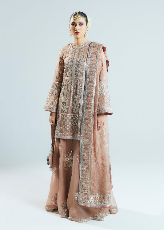 Hussain Rehar Dune Style — Mairaz Nude Sharara