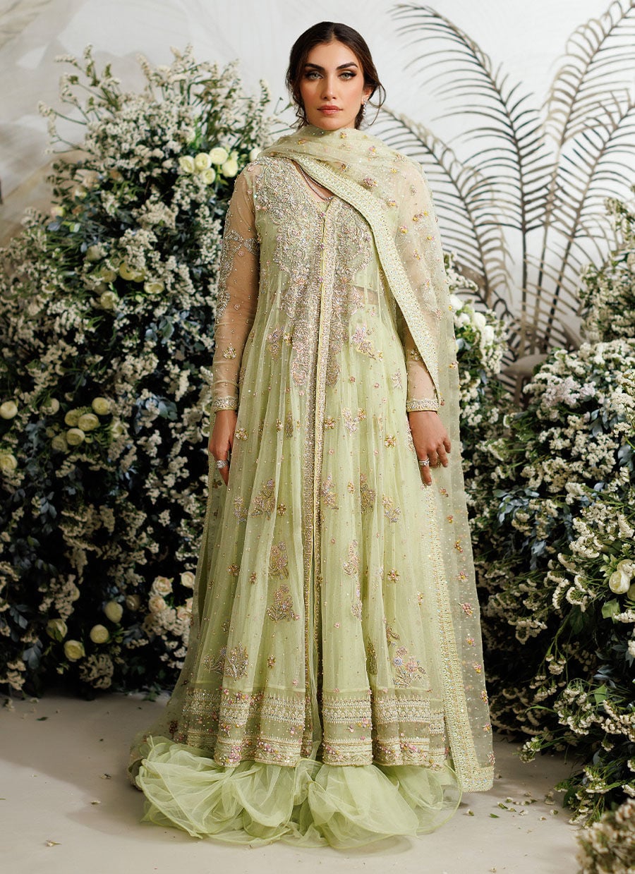 Farah Talib Aziz Eliza Kiwi style reference image 1