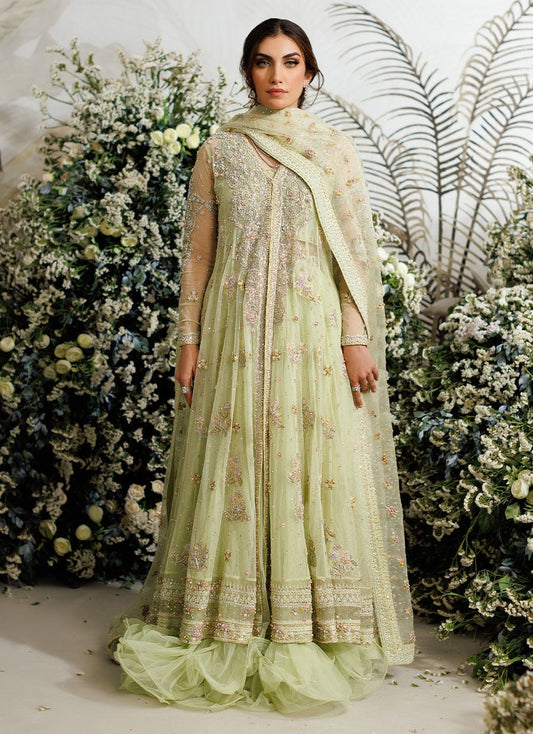 Farah Talib Aziz Eliza Kiwi style reference image 1