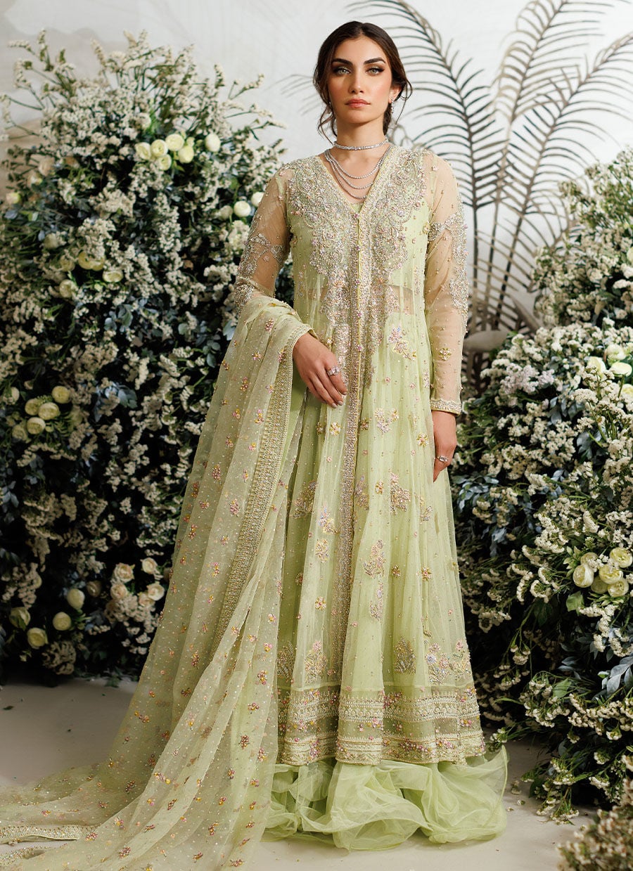 Farah Talib Aziz Eliza Kiwi style reference image 2