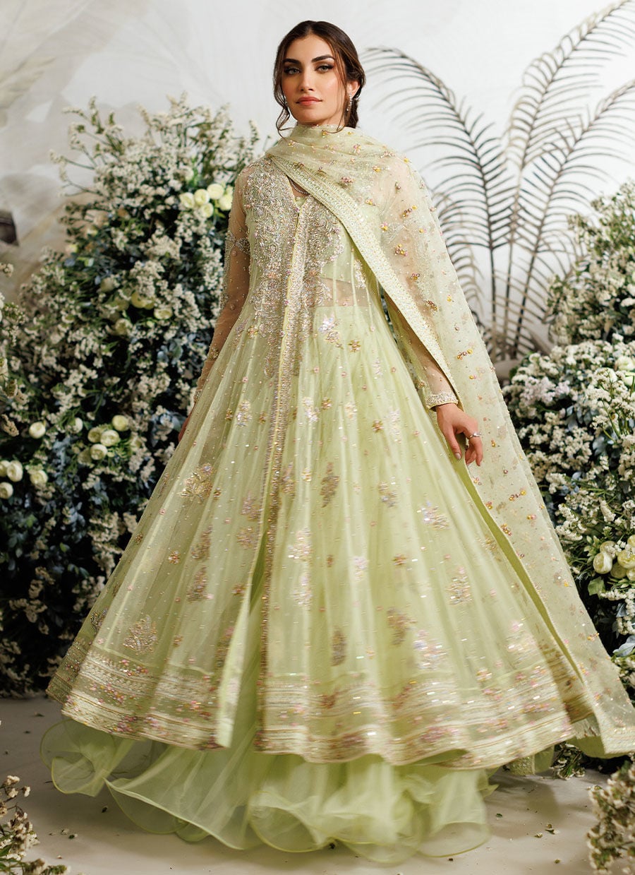 Farah Talib Aziz Eliza Kiwi style reference image 3