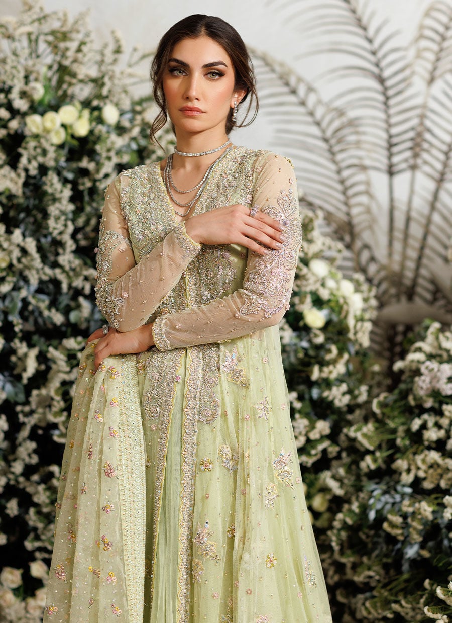 Farah Talib Aziz Eliza Kiwi style reference image 4