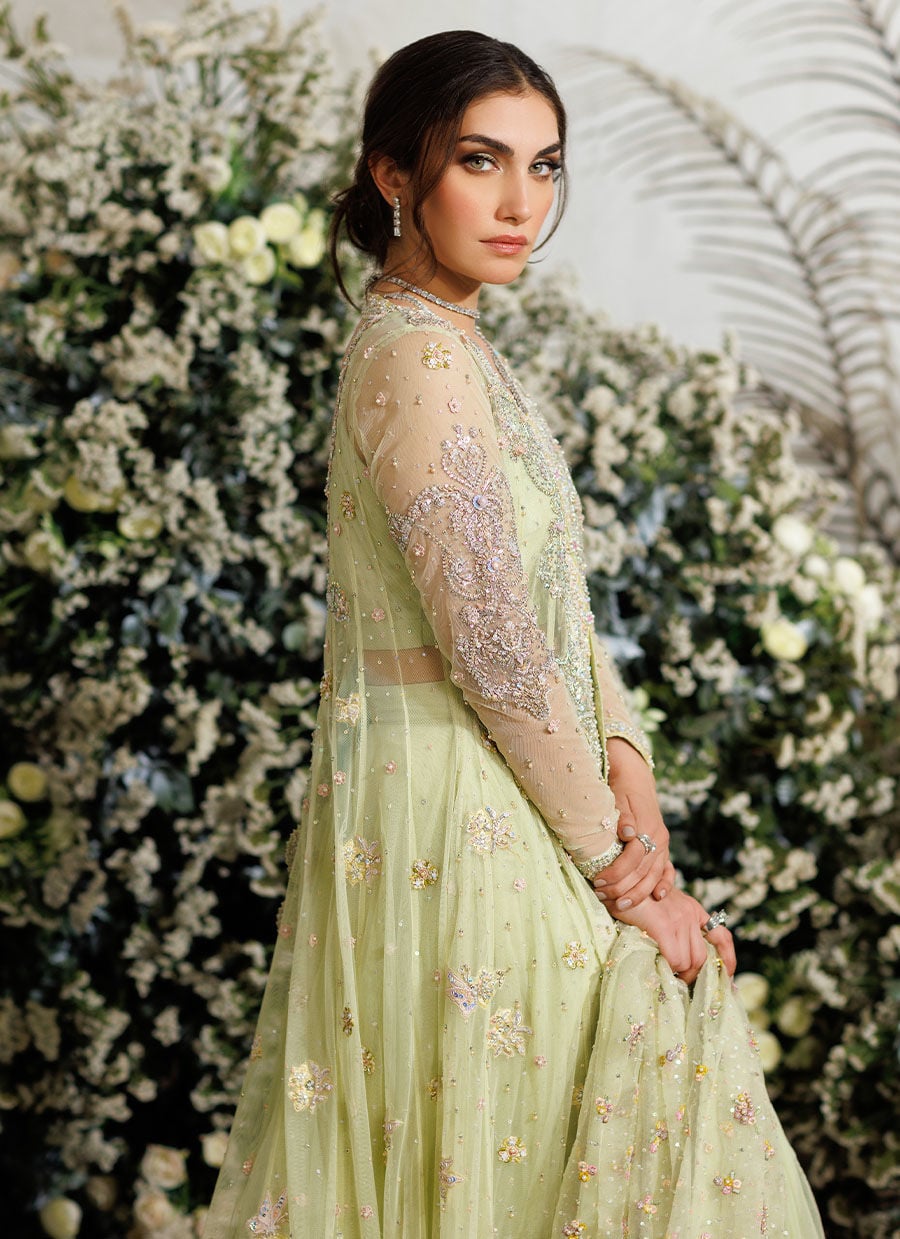 Farah Talib Aziz Eliza Kiwi style reference image 5