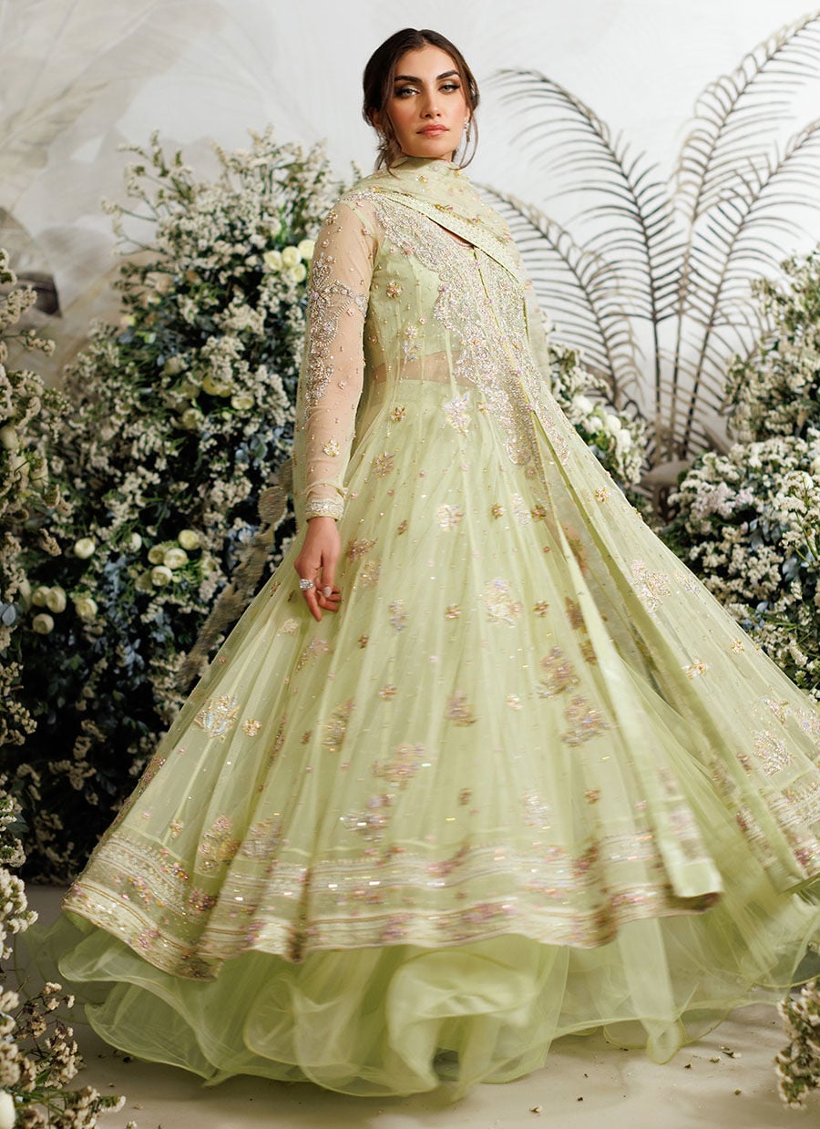 Farah Talib Aziz Eliza Kiwi style reference image 6