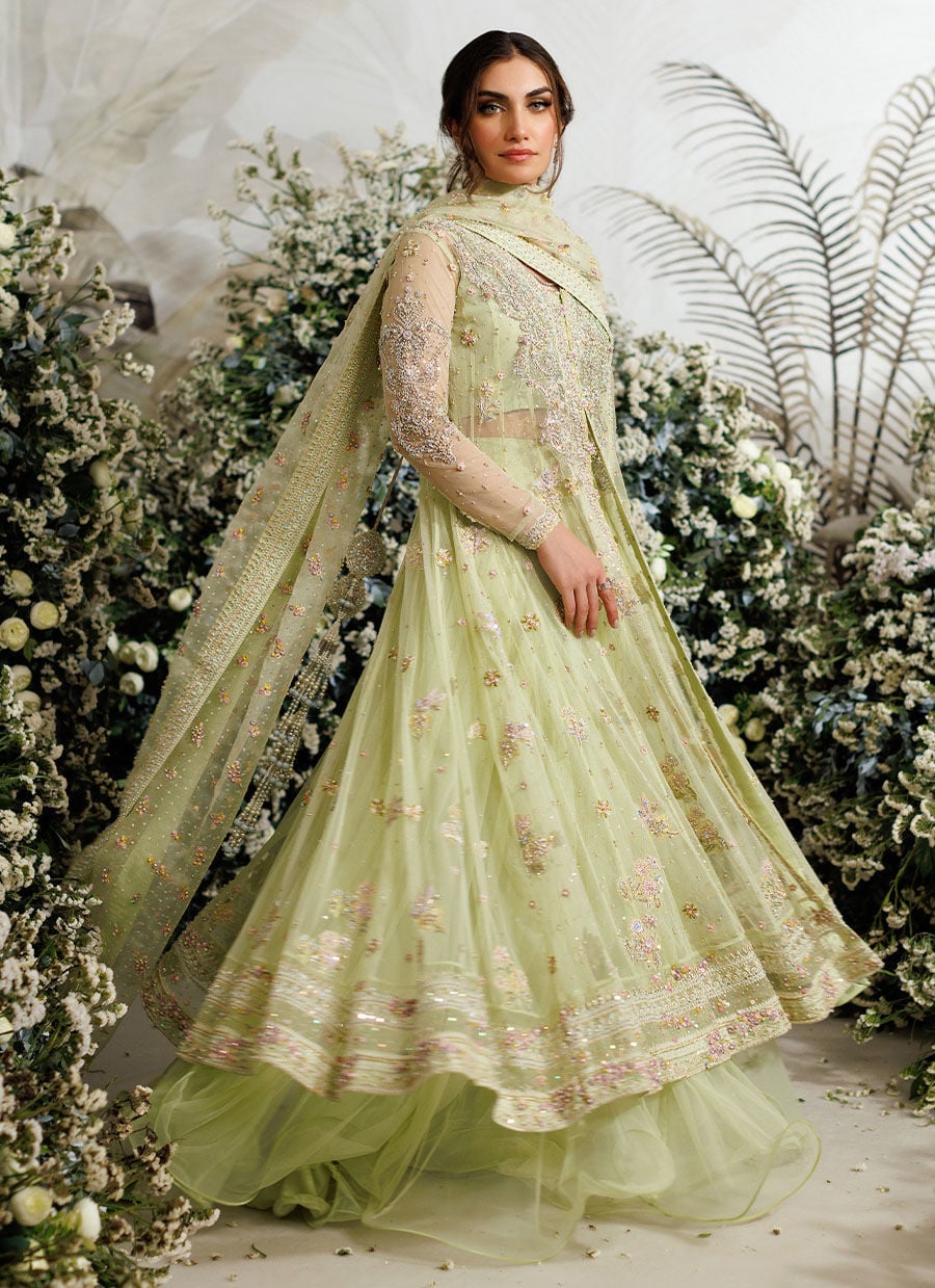 Farah Talib Aziz Eliza Kiwi style reference image 7