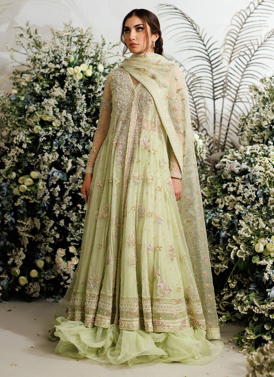 Farah Talib Aziz Eliza Kiwi style reference image 8