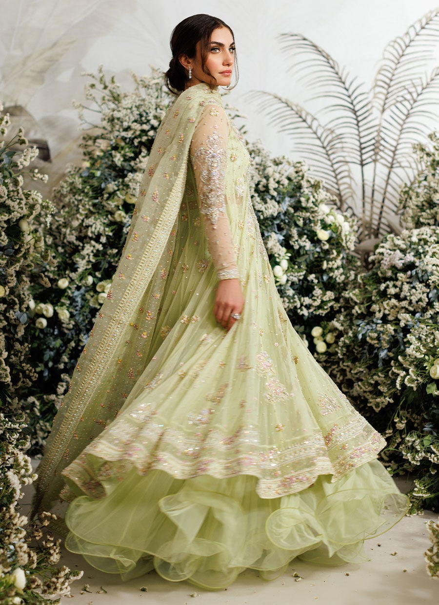 Farah Talib Aziz Eliza Kiwi style reference image 9