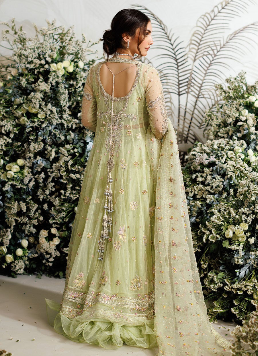Farah Talib Aziz Eliza Kiwi style reference image 10