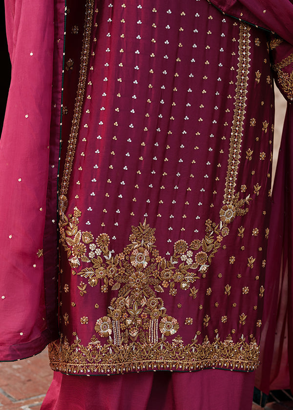 Haseens Paimana Style deep carmine handwork and hem detail close-up