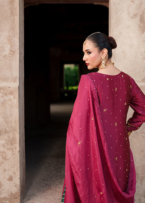 Haseens Paimana Style back view with deep carmine dupatta and embellishment