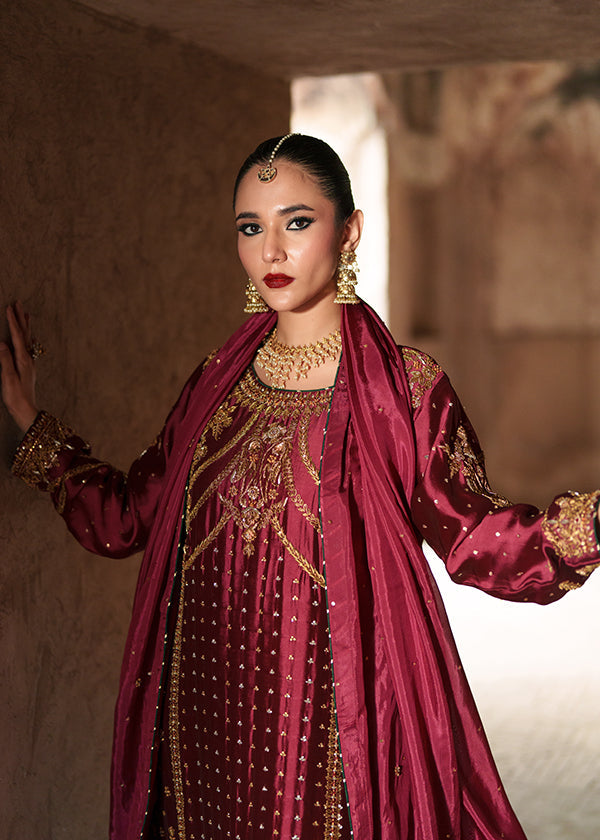 Haseens Paimana Style neckline and sleeve embroidery close-up