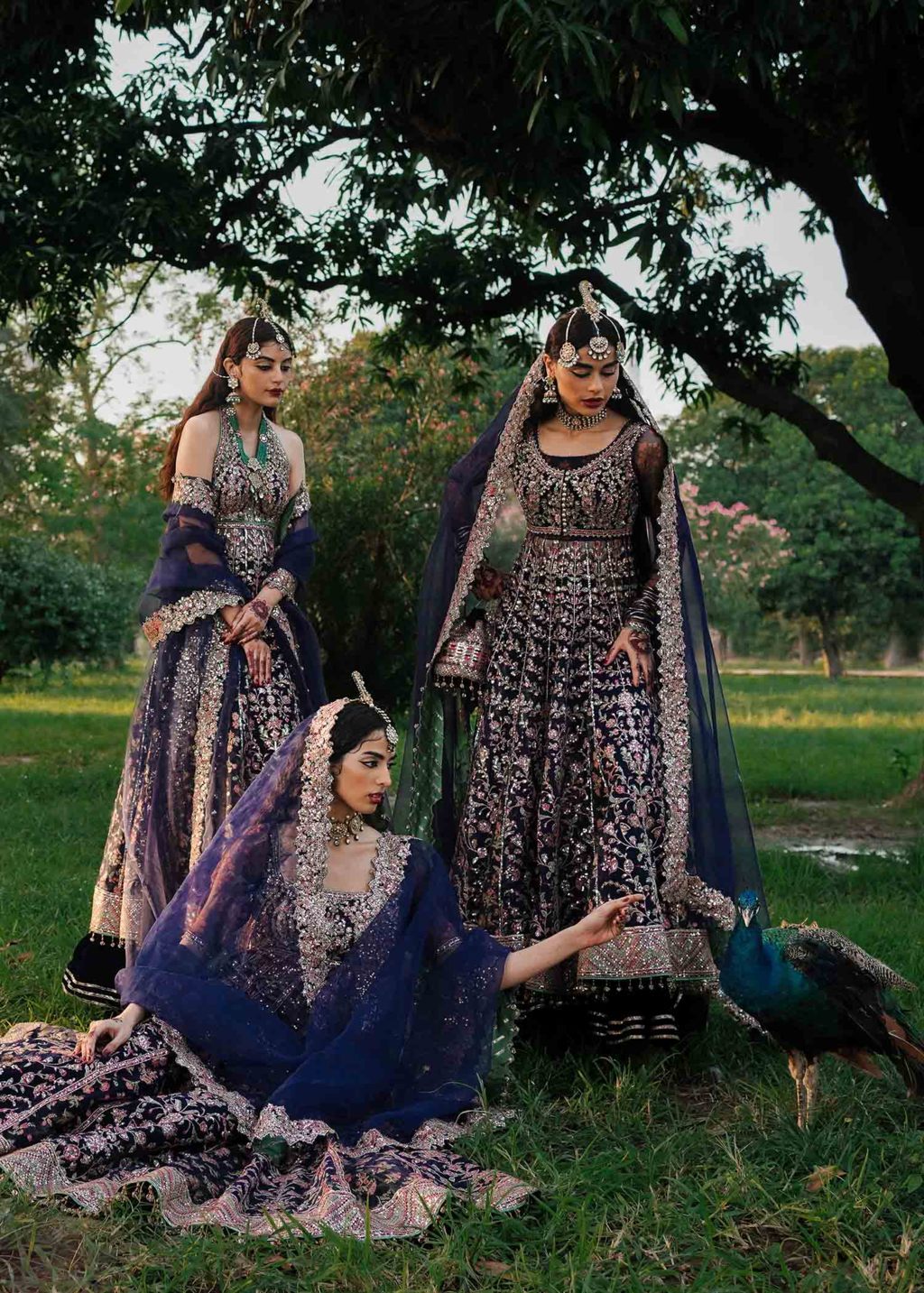 Falak style navy blue organza peshwas with embroidered dupatta and velvet trousers