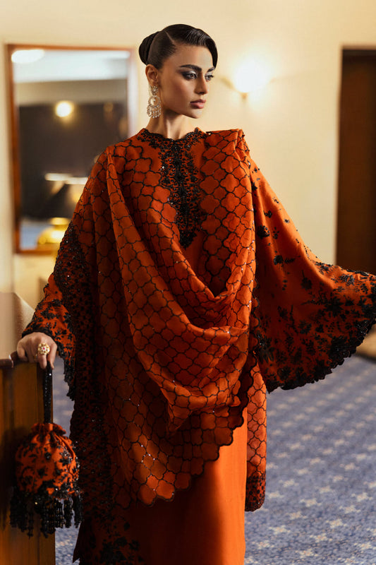 Hussain Rehar Sheryl Style rust raw silk outfit