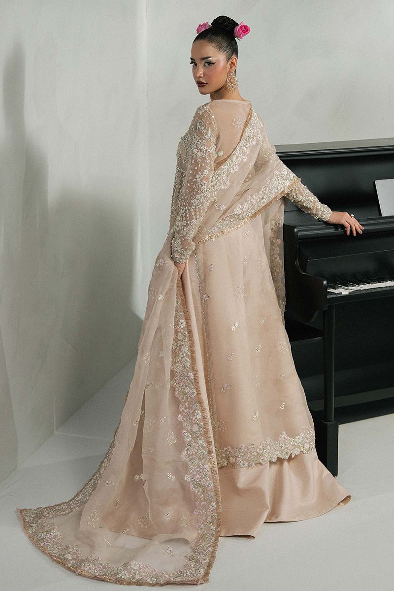 Khakaa Alicia Style by MAIRAZ — back view of organza shirt, sleeves and ornate dupatta pallu